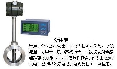 飽和蒸汽計量表分體式產品圖